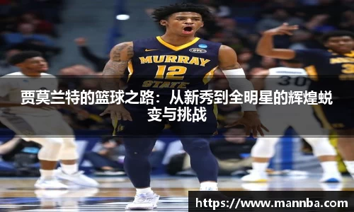 芒果体育官网入口